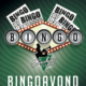 Bingo Excelsior Renkum